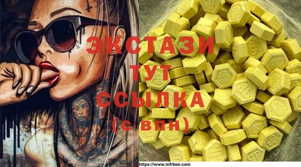 индика Беломорск