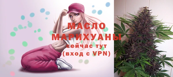 индика Беломорск